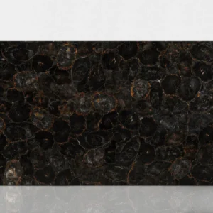 PETRIFIED WOOD BLACK-BROWN