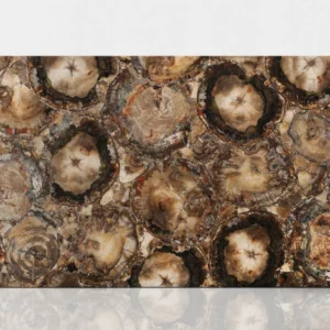 PETRIFIED WOOD BROWN