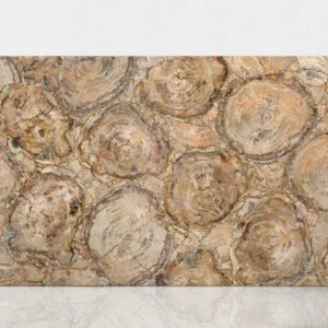 PETRIFIED WOOD IVORY