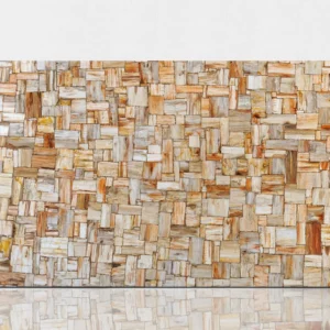 PETRIFIED WOOD IVORY JURASSIC