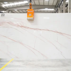 ROSSO VENATO
